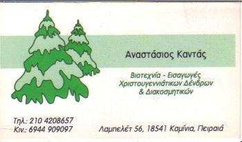 ΒΙΟΤΕΧΝΙΑ ΧΡΙΣΤΟΥΓΕΝΝΙΑΤΙΚΩΝ ΔΕΝΤΡΩΝ ΣΤΟΛΙΔΙΑ ΚΑΜΙΝΙΑ ΚΑΝΤΑΣ ΑΝΑΣΤΑΣΙΟΣ 